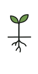Tree level 1
