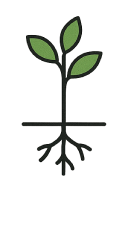 Tree level 2