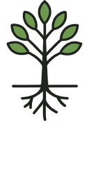Tree level 3